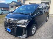2020 TOYOTA ALPHARD