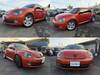 VOLKSWAGEN THE BEETLE