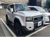 TOYOTA LANDCRUISER 250