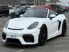 PORSCHE OTHER