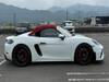 PORSCHE OTHER