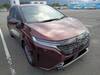 NISSAN OTHER