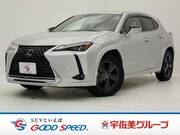 2019 LEXUS UX