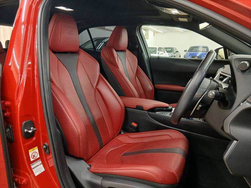 2019 LEXUS UX for sale - photo 9