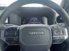 TOYOTA LANDCRUISER 250